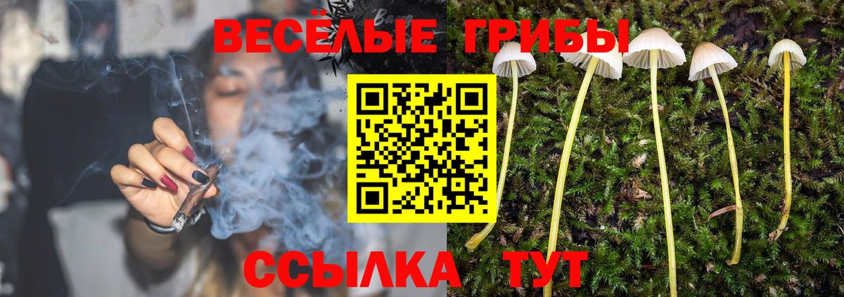 Галлюциногенные грибы GOLDEN TEACHER Россошь