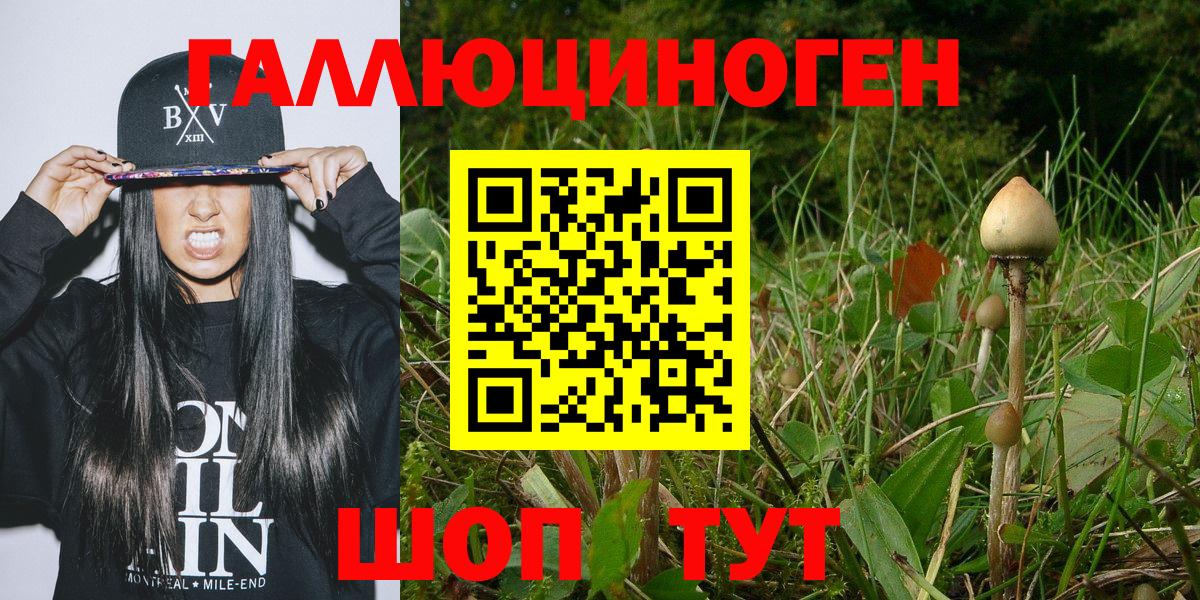 Галлюциногенные грибы MAGIC MUSHROOMS  Вход с VPN  Псилоцибиновые грибы GOLDEN TEACHER  Россошь 